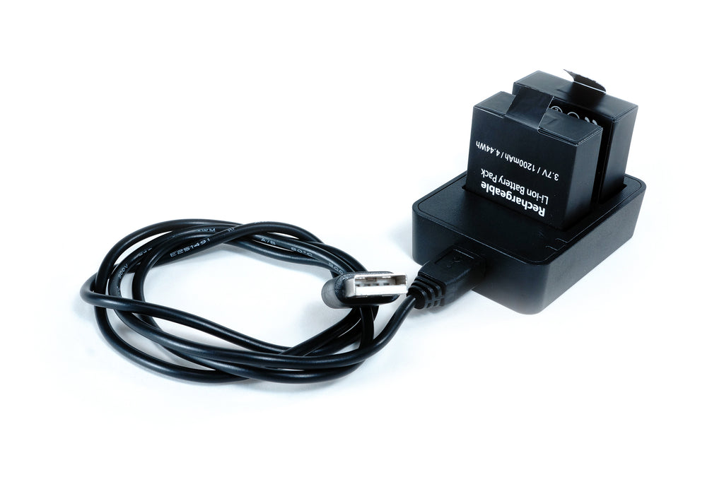 Survey3 Dual Battery Charger